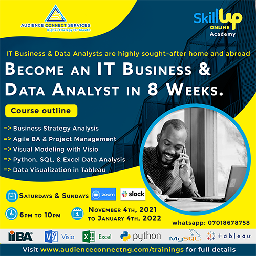 Business & Data Analyis Image